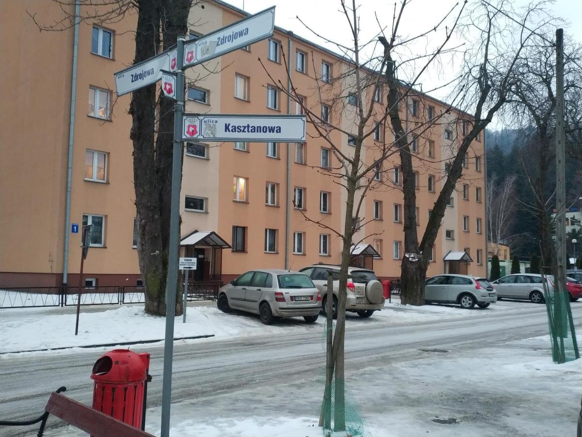 Zdrojowy Apartment Rymanow-Zdroj